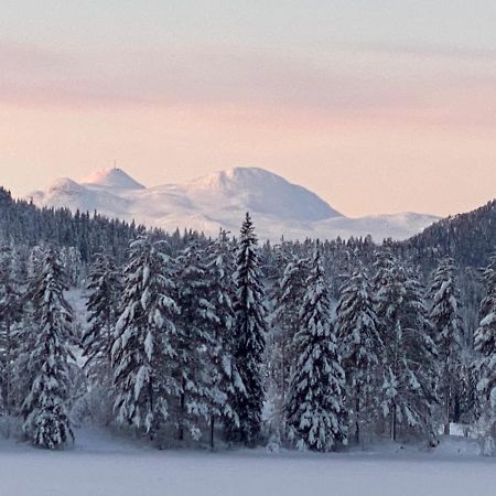 Tuddal Hyttegrend, Gamlestugu, Telemark Dış mekan fotoğraf