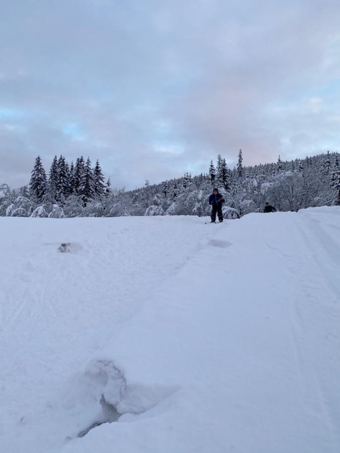 Tuddal Hyttegrend, Gamlestugu, Telemark Dış mekan fotoğraf