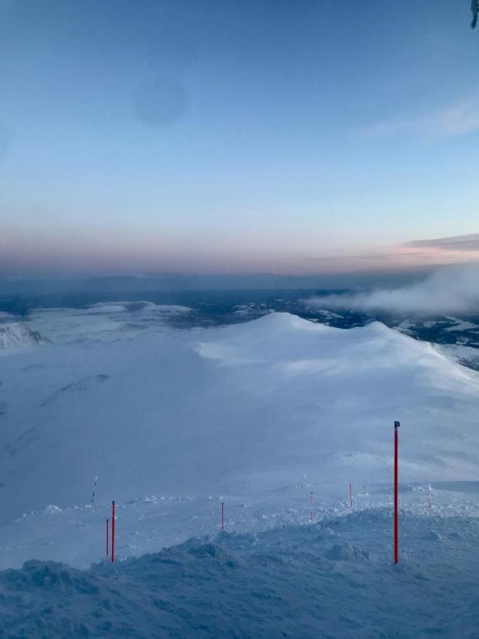 Tuddal Hyttegrend, Gamlestugu, Telemark Dış mekan fotoğraf